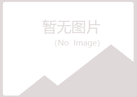 合山女孩快递有限公司